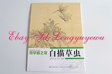 Farfalla Insetto Libellula