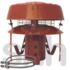 Canna fumaria terracotta