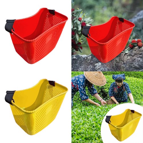 Cestino per raccolta della - la,
