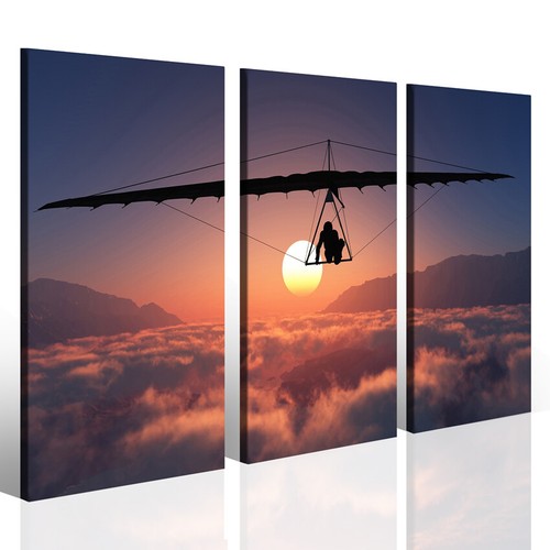 Quadro deltaplano stampa - quadro,