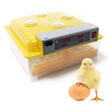 TTIncubatrice automatica di