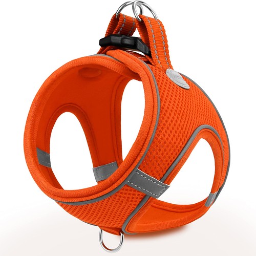 Joytale pettorina cane con - joytale,