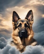 2 adesivi auto cane pastore