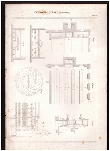 Economia rurale filugello - economia,