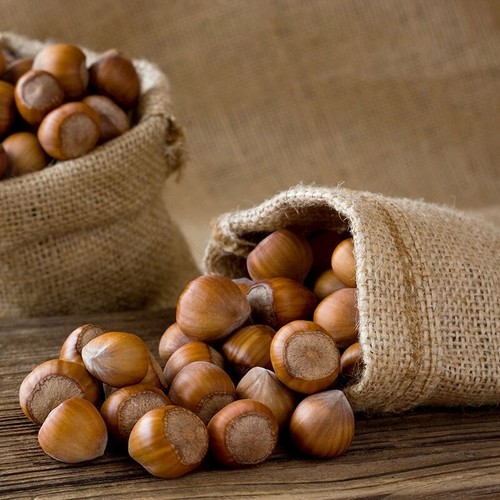 Nocciole crude confezione da - ,