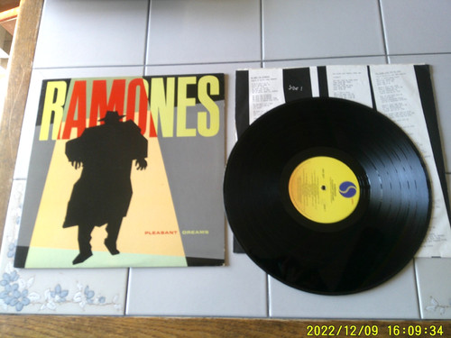 Ramones pleasant dreams - ramones,