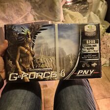 Scheda Video Nvidia GeForce 6