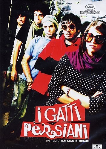 Gatti persiani ex noleggio - persiani,
