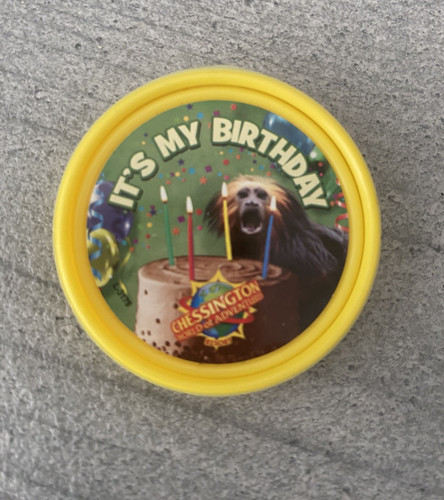 Chessington merlin pop - pop, badge