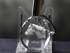 Haflinger cavallo cristallo - haflinger,,