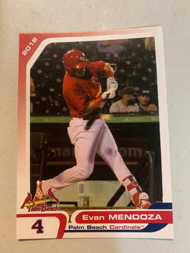 Evan mendoza card palm - mendoza,
