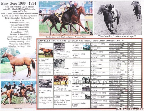 Race horse leggenda easy goer - horse,