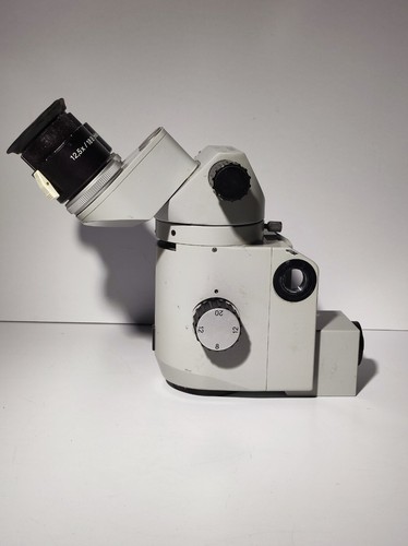 Microscopio binoculare carl - microscopio,