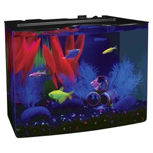 Glofish kit acquario - kit, 3