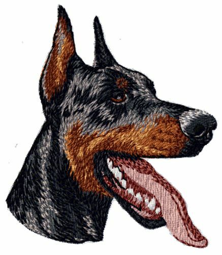 Doberman pinscher toppe - doberman,
