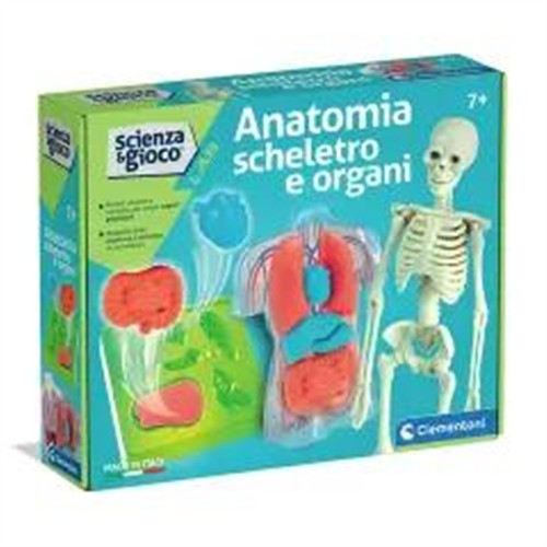 Clementoni anatomia scheletro - anatomia,