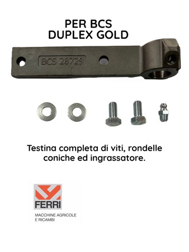 Bcs 52428729 testina - testina, porta