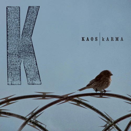 Kaos karma vinile lp - karma,
