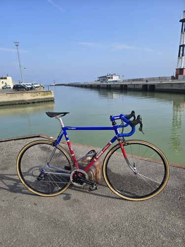 Gios grande torino limited - grande,