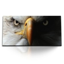 120x80cm kunstdruck bilder - 120x80cm,