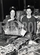 Foto vintage Animali, 1972