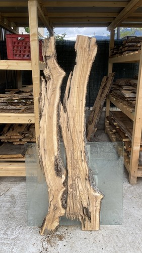Tavole legno ulivo - di, max