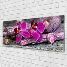 Glass print Wall art 125x50