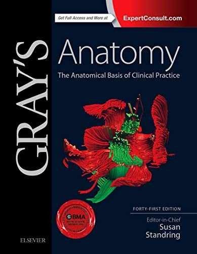 Gray anatomy the anatomical - anatomy:,