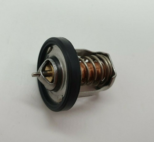 Termostato per fuoribordo