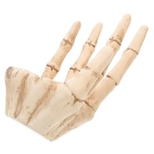  Candeliere Teschio Decorativo