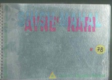 SHISH MAHAL / AYNE KARI*