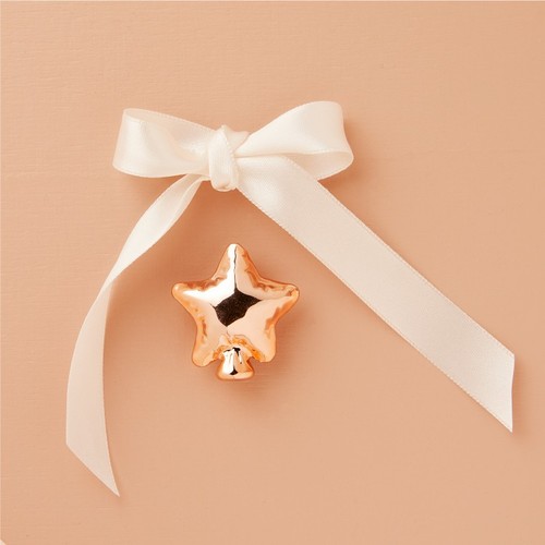 Calamita stella oro - , rosa