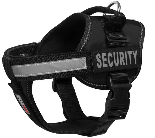 Gilet sicurezza body - sicurezza,