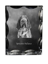 Spinone Italiano, Kristallo