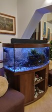 acquario juwel vision 450