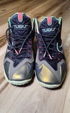 Nike lebron kings pride - kings,