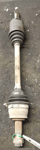 51955482 semialbero ant - semialbero,