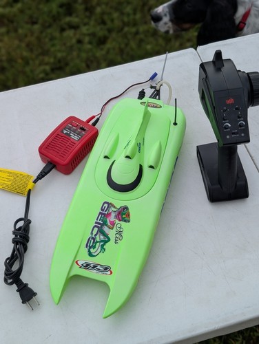 Pro boat miss geico - pro,