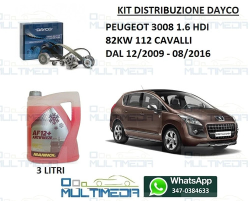 Kit distribuzione pompa - kit,