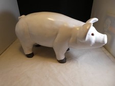 Petaluma Maiale 24" BISOGNI DI