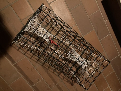 Nassa seppie piovre - nassa,