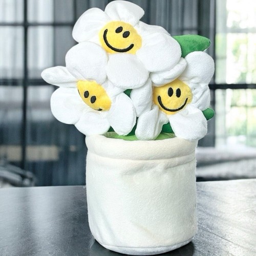 Fiori sorridenti pianta - sorridenti,