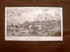 Cattle near the stream