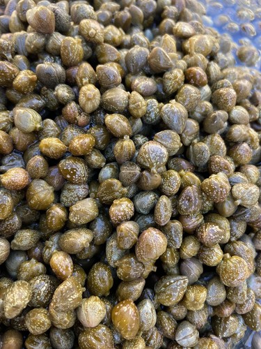 Capperi piccoli sotto sale - capperi, 1
