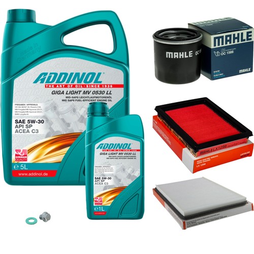 Pacchetto ispezione mahle - pacchetto, 6l