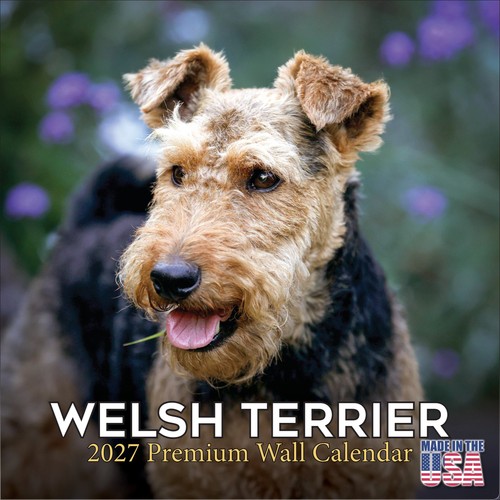 Calendario parete welsh - calendario, da