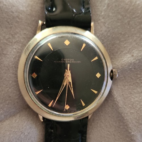 Croton nivada grenchen - nivada,