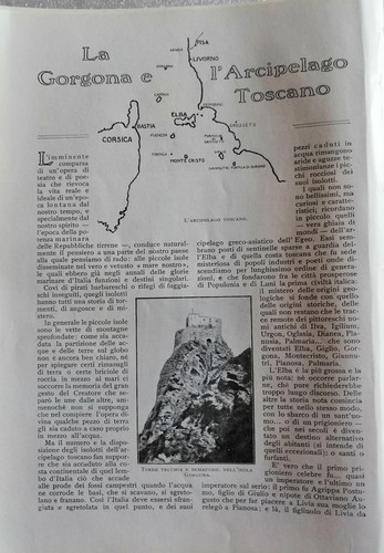 La gorgona e - la,