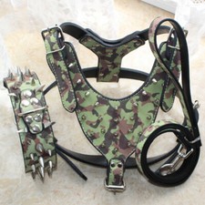 Guinzaglio collare imbracatura