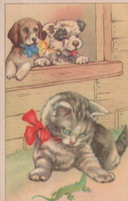 CARTOLINA  TEMATICA ANIMALI CANI GATTI CAVALLI TIGRI LEONI ORSI NON VIAGGIATA